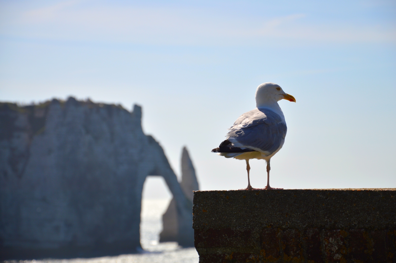 Alabaster coast of Northern Normandy - My, Etretat, The photo, Sea, The rocks, Shore, Upper Normandy, Travels, Longpost