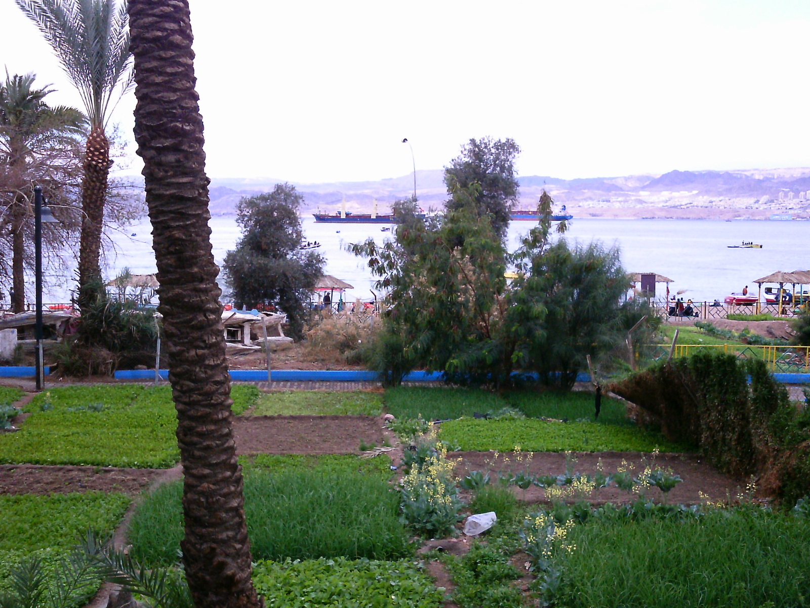 Jordan. Chapter 5 - My, Jordan, Aqaba, Travels, Longpost