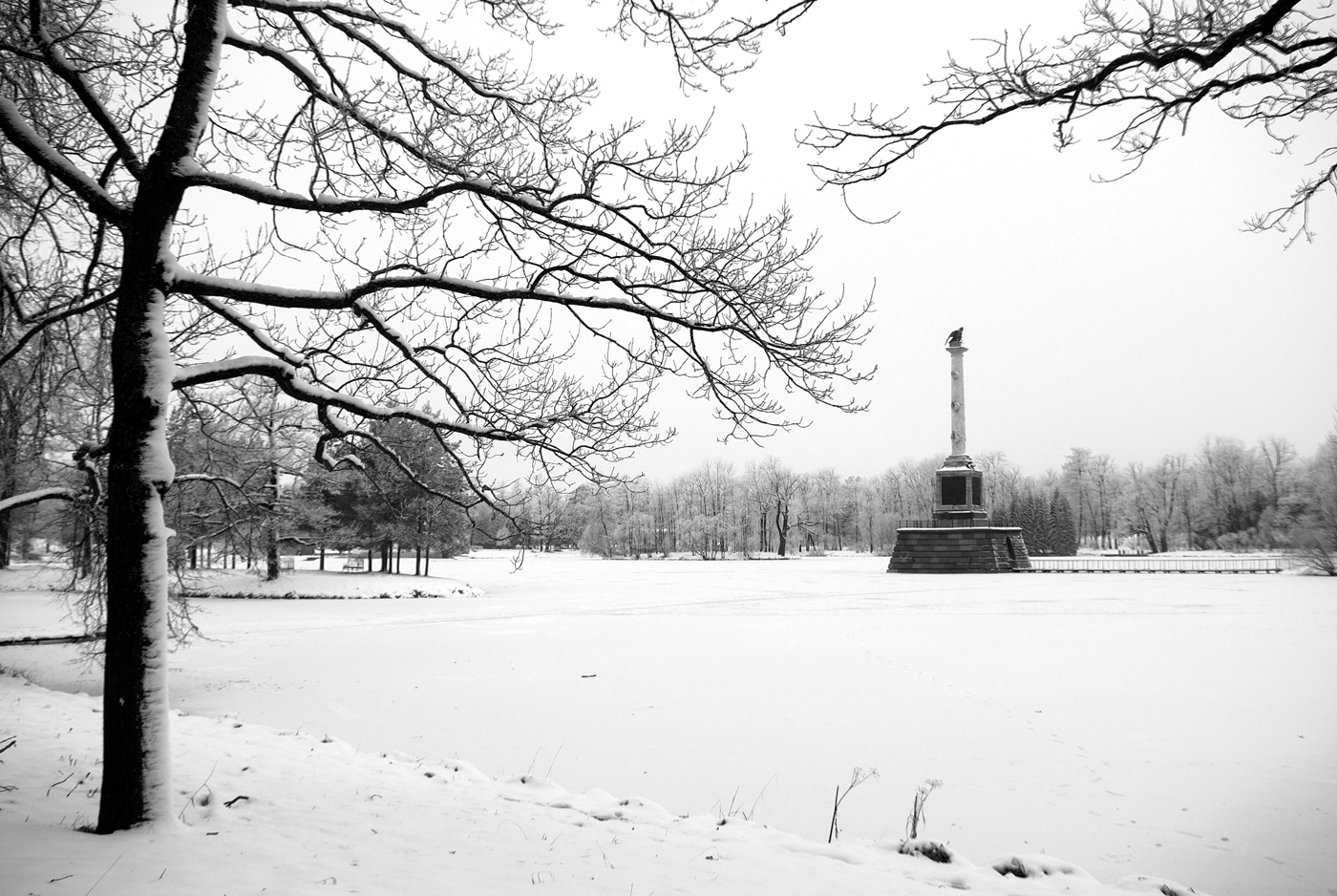 Черно-белая зима в Екатерининском парке. - Моё, Фотография, Черно-белое, Царское село, Санкт-Петербург, Зима, Екатерининский парк, Длиннопост