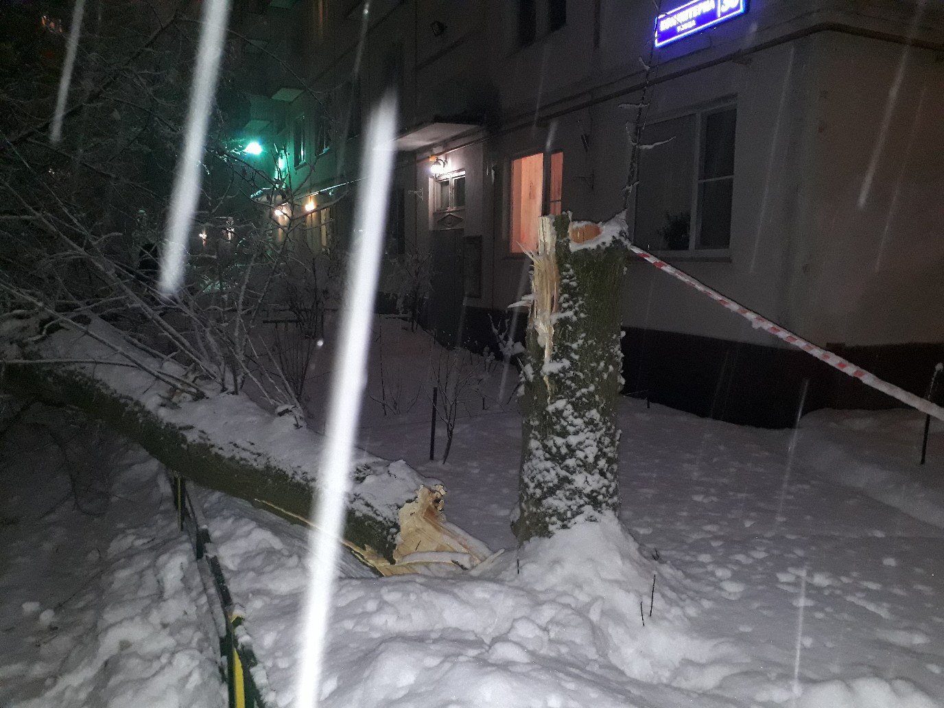 Упало дерево на машину - Моё, Задолбали, ДТП, Москва, Помощь, Длиннопост