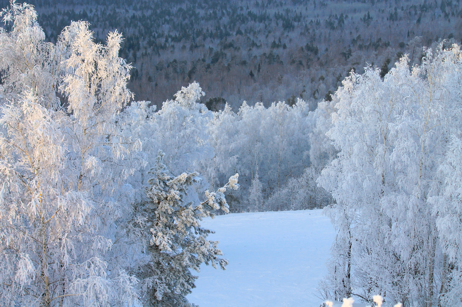 Mount Ezhovaya, part 3 - My, , The photo, Landscape, Winter, Longpost