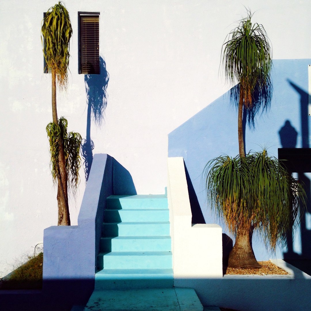 Where does this staircase lead? - My, Peekaboo, Humor, Beautiful, Stairs, beauty, Palm trees, Funny, Fun