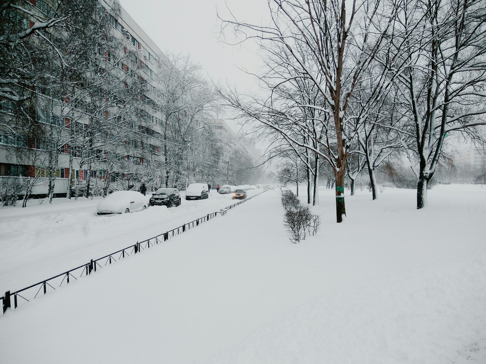 Sorceress Winter St. Petersburg - My, Winter, Saint Petersburg, Kupchino, Longpost