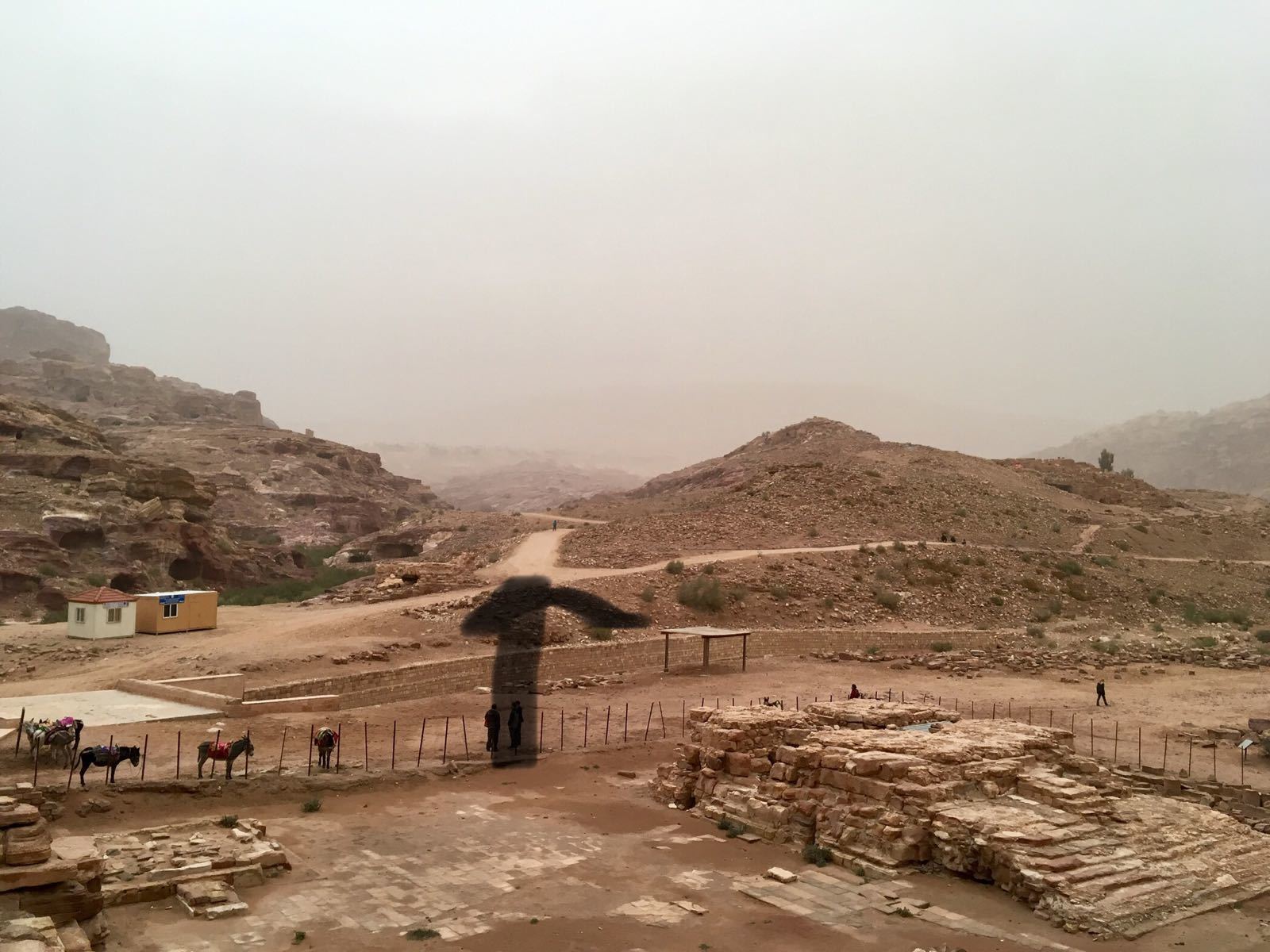 Jordan. Chapter 7 - My, Jordan, Petra, Bedouins, Longpost