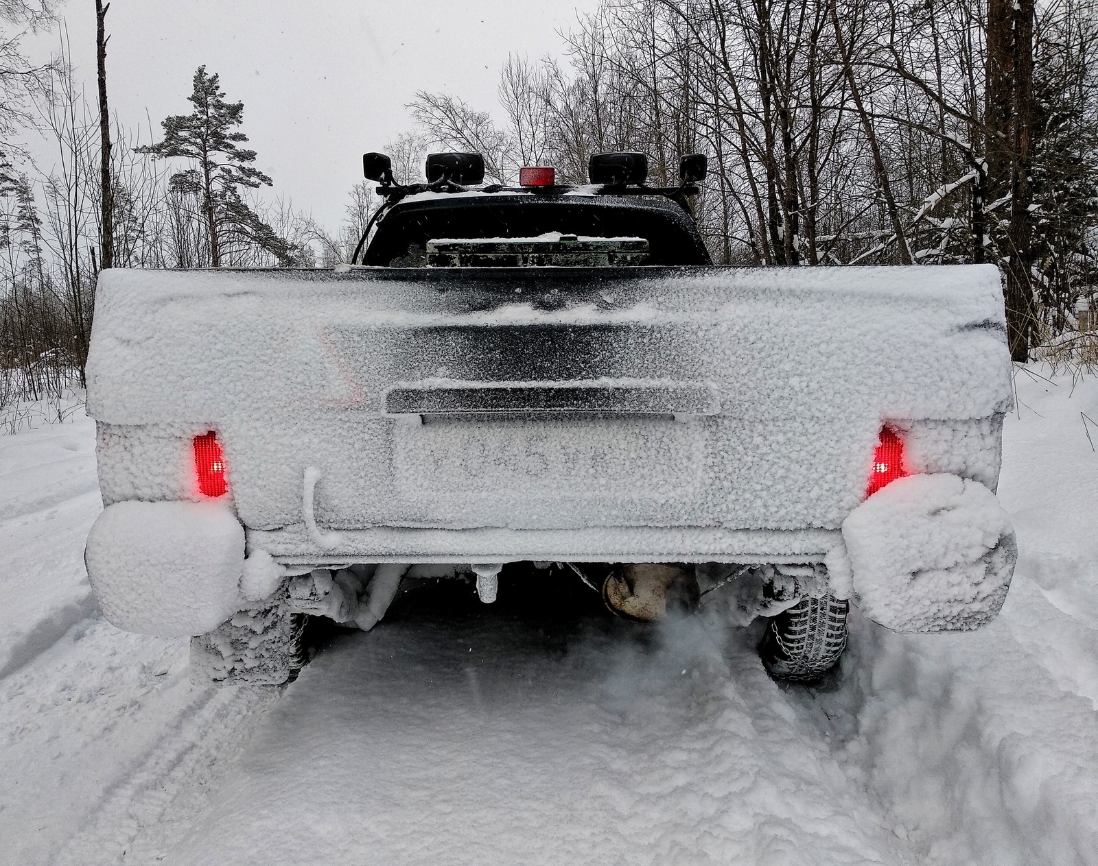 Snowy Sunday. - My, Forest, Winter, Squirrel, Car, Nature, Beginning photographer, Longpost