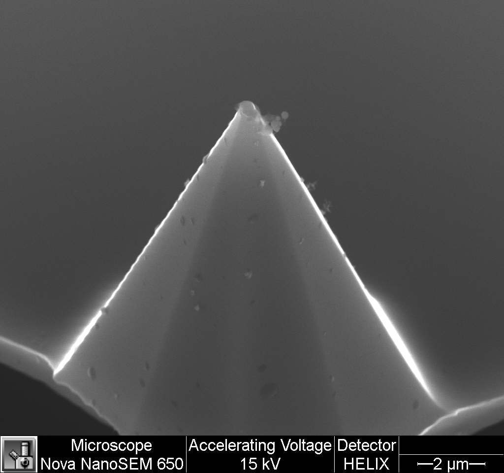 Cantilever. - My, Electron microscope, , My, Longpost