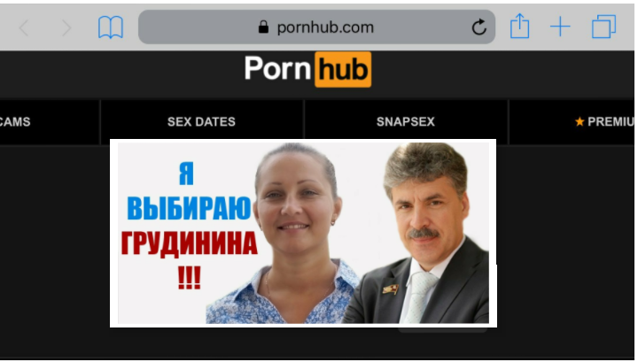 Ehhh. Grudinin - My, Politics, Elections, Pavel Grudinin