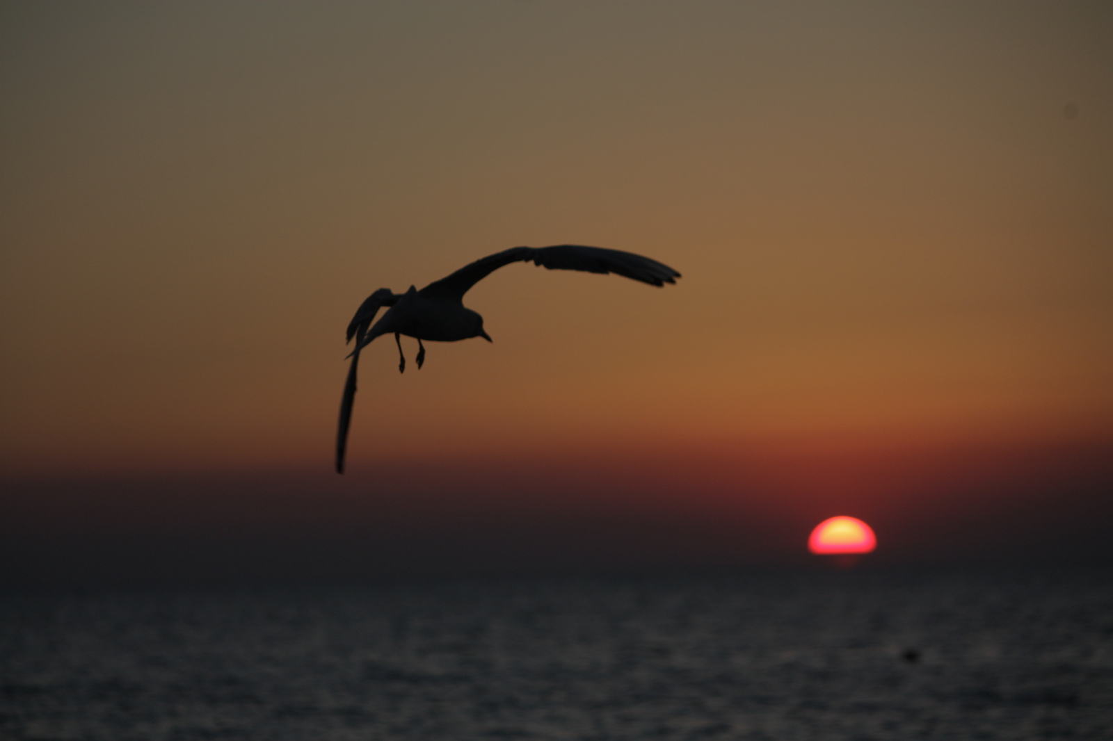 Beautiful sunsets in Crimea - My, Sunset, , Crimea, beauty, Longpost