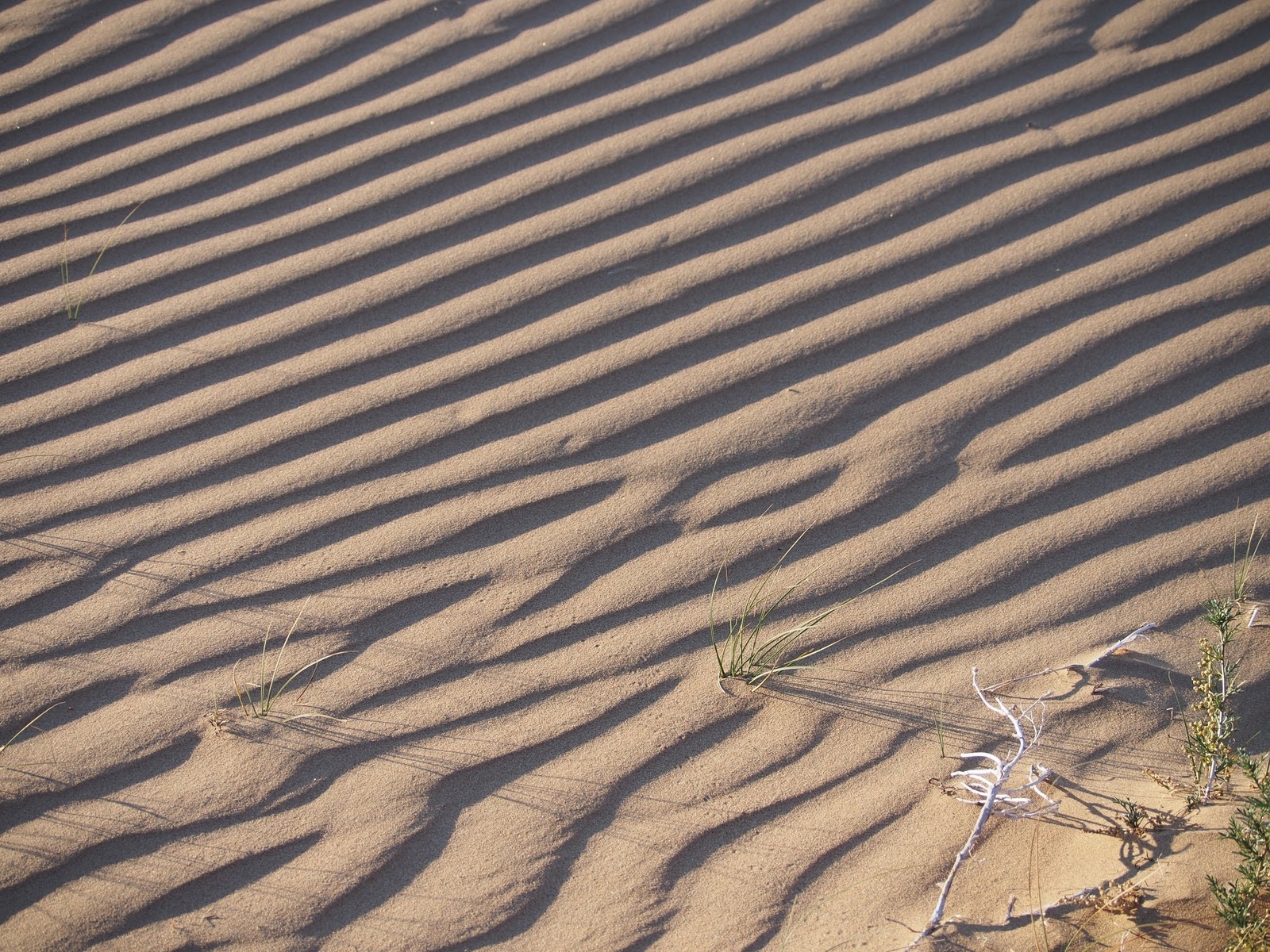 Mongolia, untouched nature - My, Mongolia, Nature, beauty, Story, Landscape, Longpost