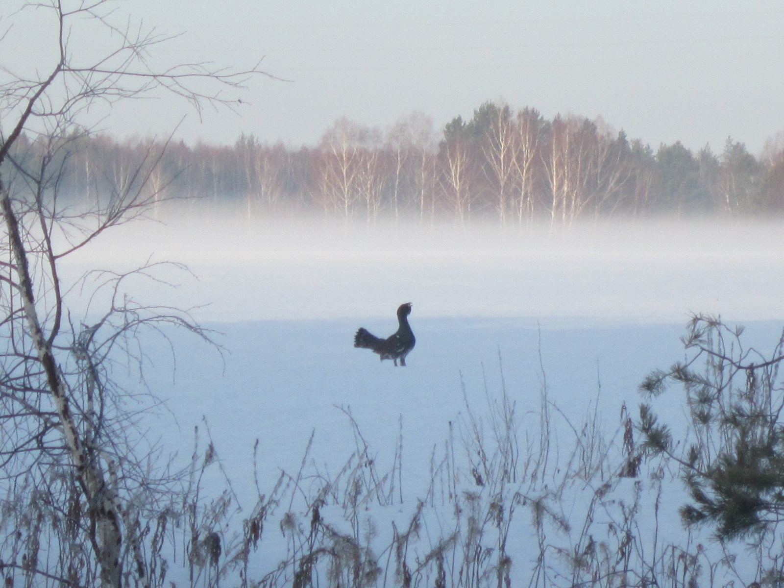 Beauty of the Urals. - My, Ural, beauty of nature, Nature, Russia, wildlife, Forest, Chusovaya, , Longpost