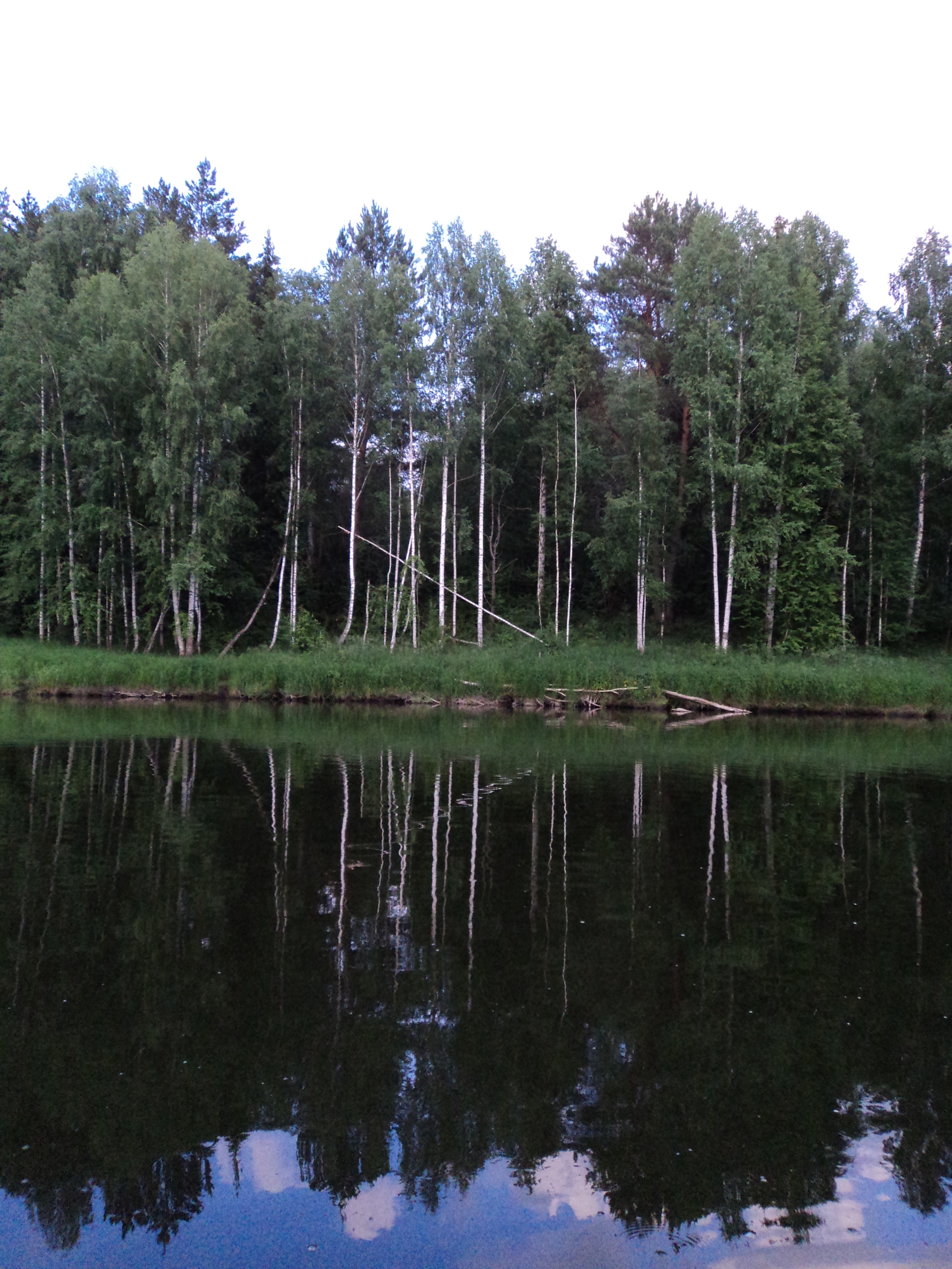 Beauty of the Urals. - My, Ural, beauty of nature, Nature, Russia, wildlife, Forest, Chusovaya, , Longpost