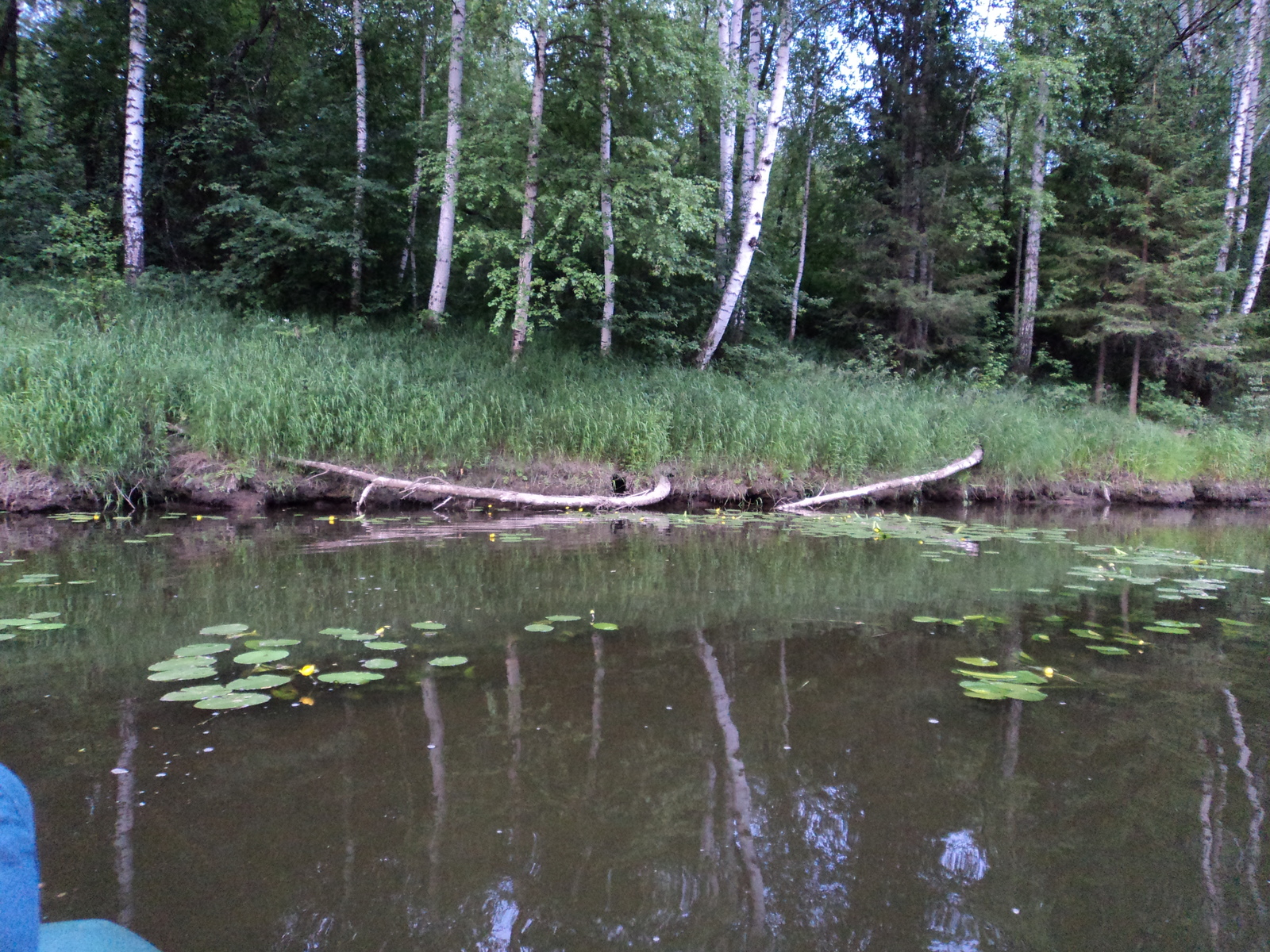 Beauty of the Urals. - My, Ural, beauty of nature, Nature, Russia, wildlife, Forest, Chusovaya, , Longpost