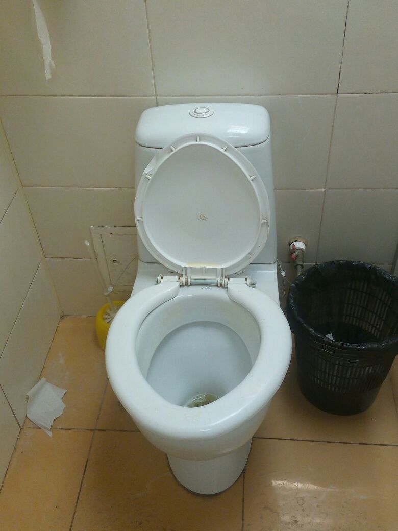 DON'T STEAL!!!!!!!!!!!!!!!!!!!!!!!! - My, Shopping center, Toilet, Unclear, Longpost