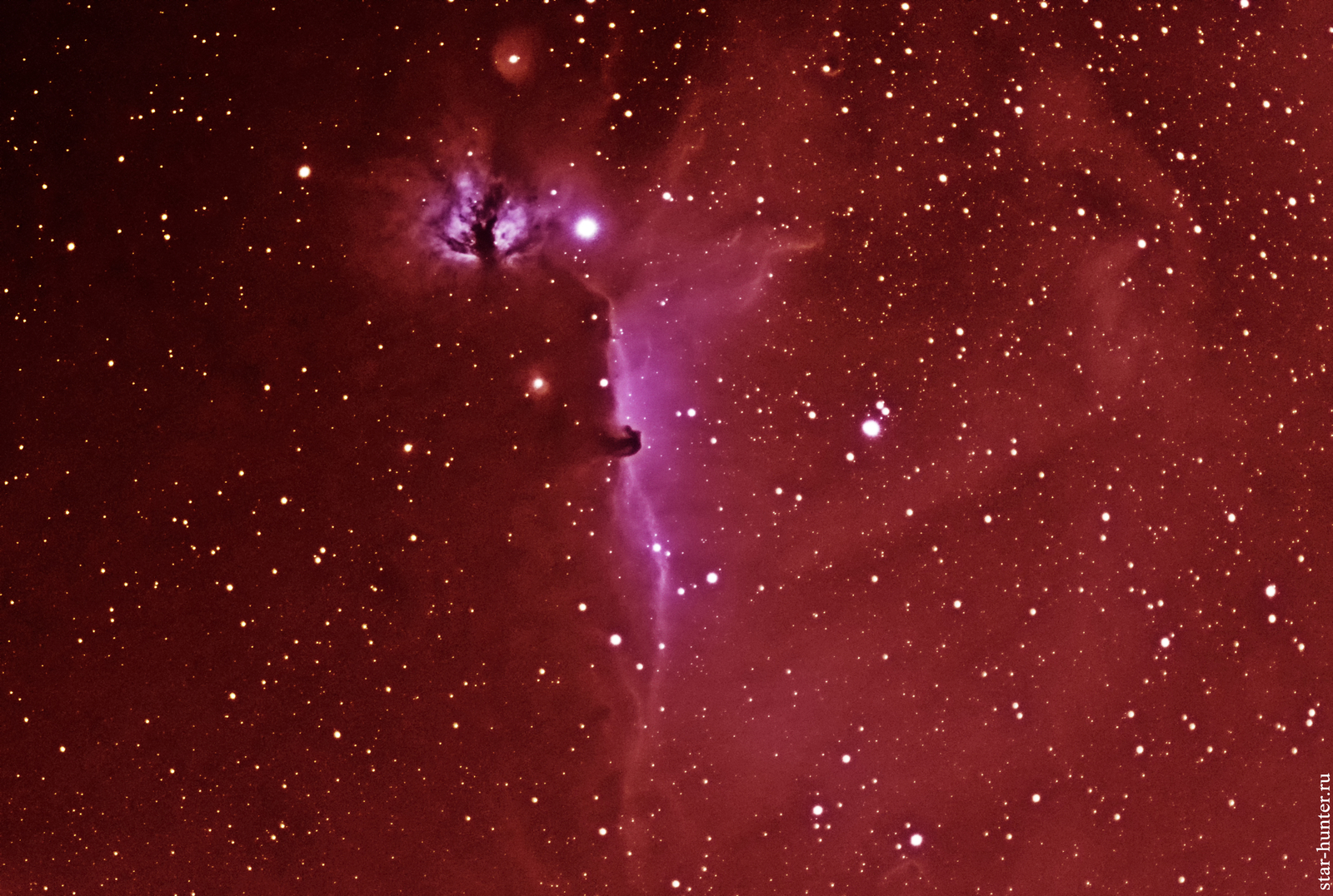 Nebula IC 434 Horsehead on February 7, 2018. - My, Astronomy, Astrophoto, Space, Nebula, Starhunter, Anapadvor, Samyang, Longpost