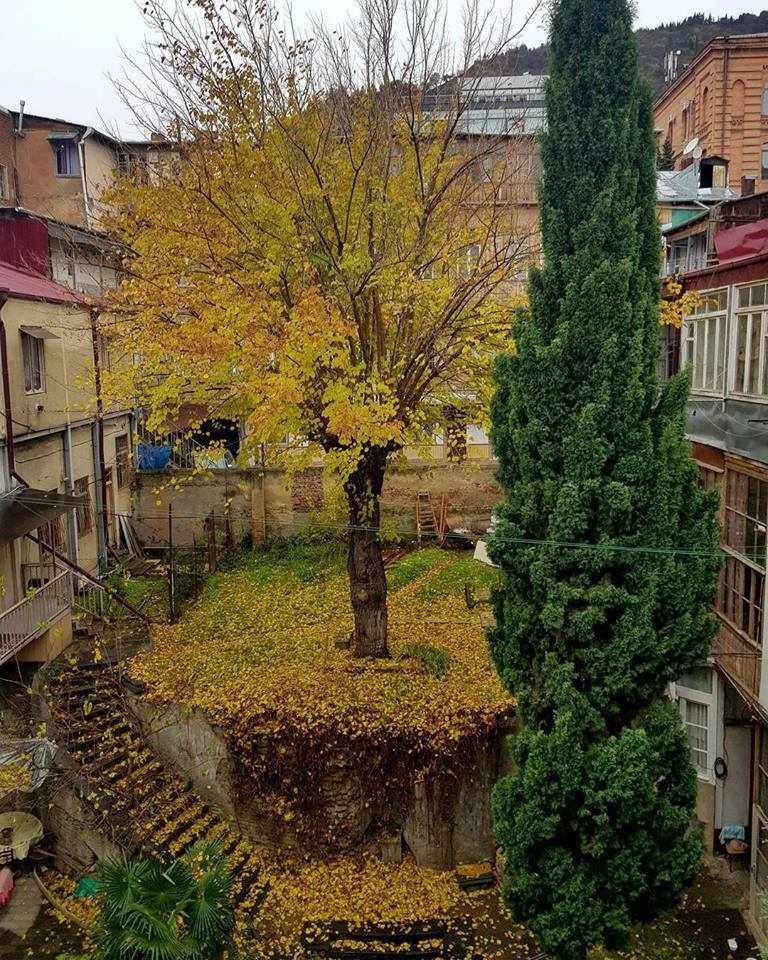 Tbilisi courtyard - Tbilisi, Courtyard