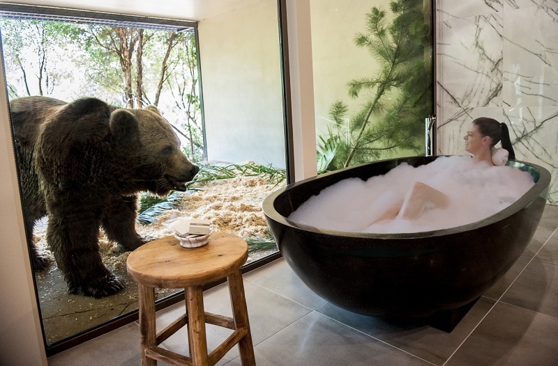 Bear bath: Jamala Wildlife Lodge. - Zoo, Safari, Australia, Hotel, Longpost