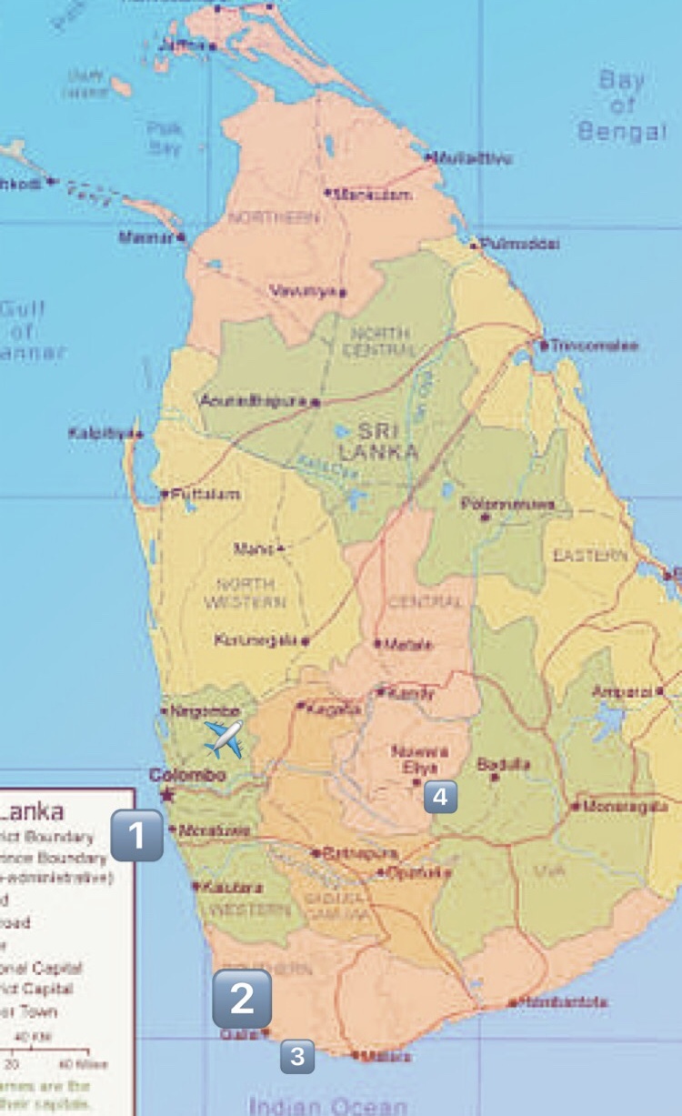 Sri Lanka: ocean and mountains - My, Sri Lanka, Travels, Budget travel, Tea plantation, Longpost