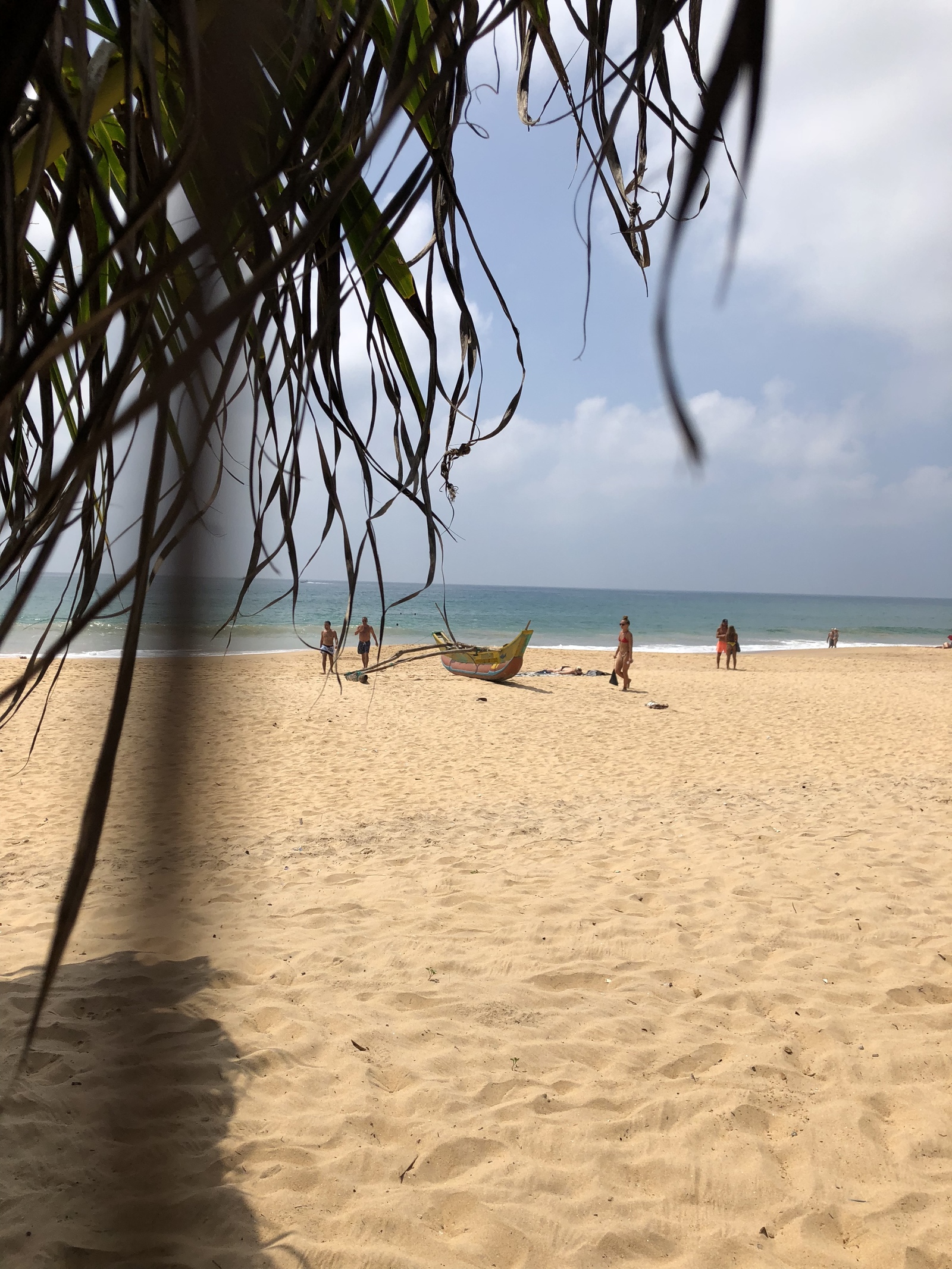 Sri Lanka: ocean and mountains - My, Sri Lanka, Travels, Budget travel, Tea plantation, Longpost