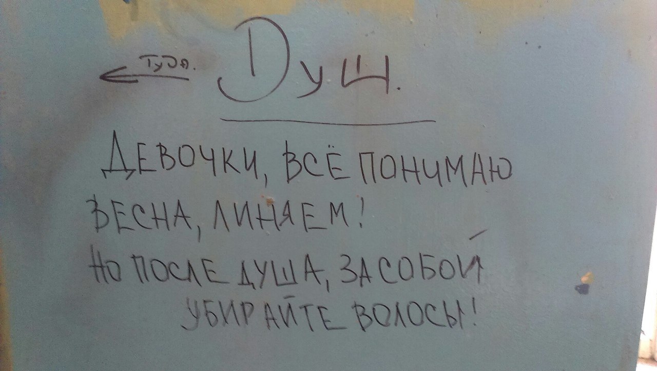 В одном из общежитий. - Душ, Крик души, Свинство, Весна, Линька