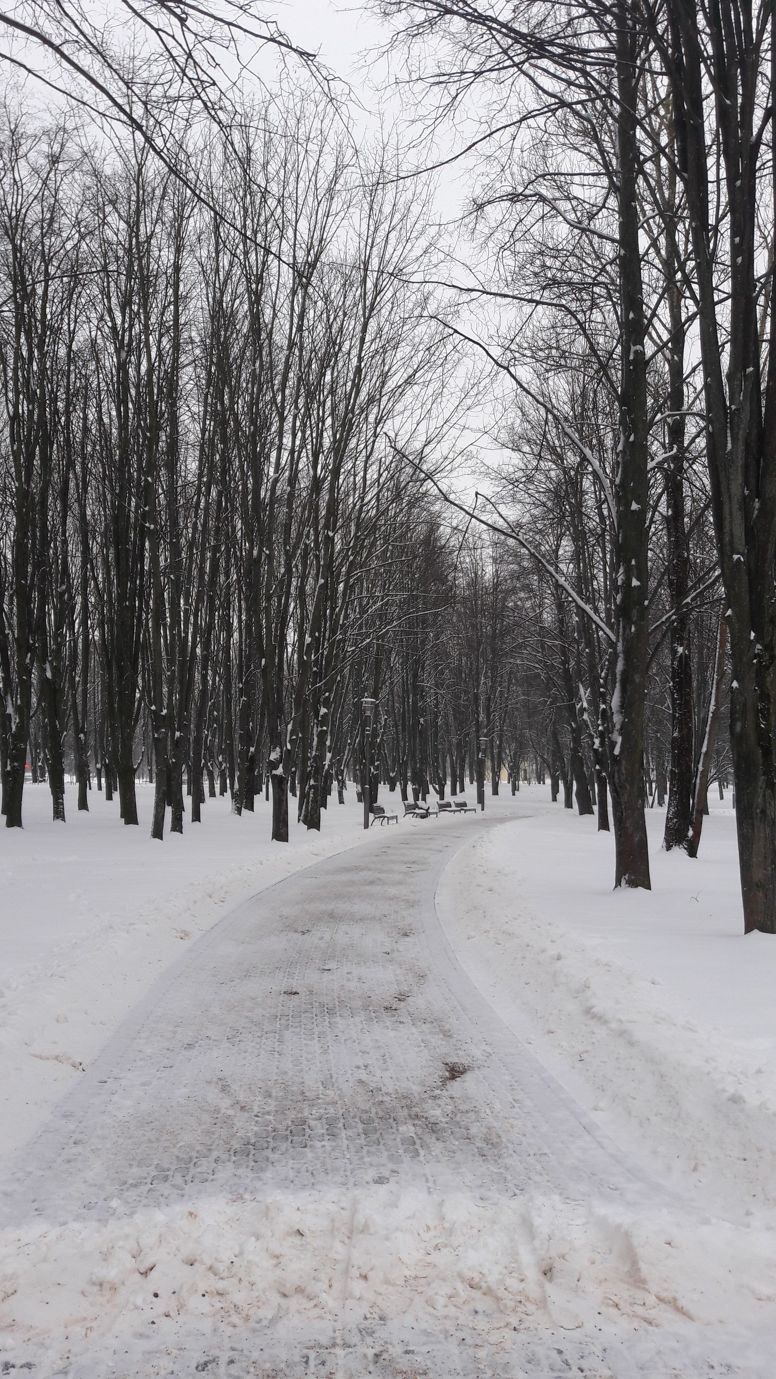 Walk in the winter park - My, Mobile photography, Samsung Galaxy a5, Photo on sneaker, Minsk, Winter, Longpost