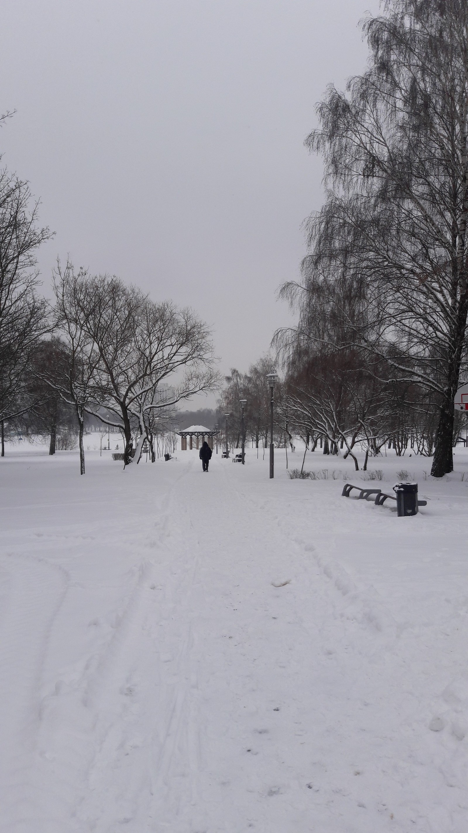 Walk in the winter park - My, Mobile photography, Samsung Galaxy a5, Photo on sneaker, Minsk, Winter, Longpost