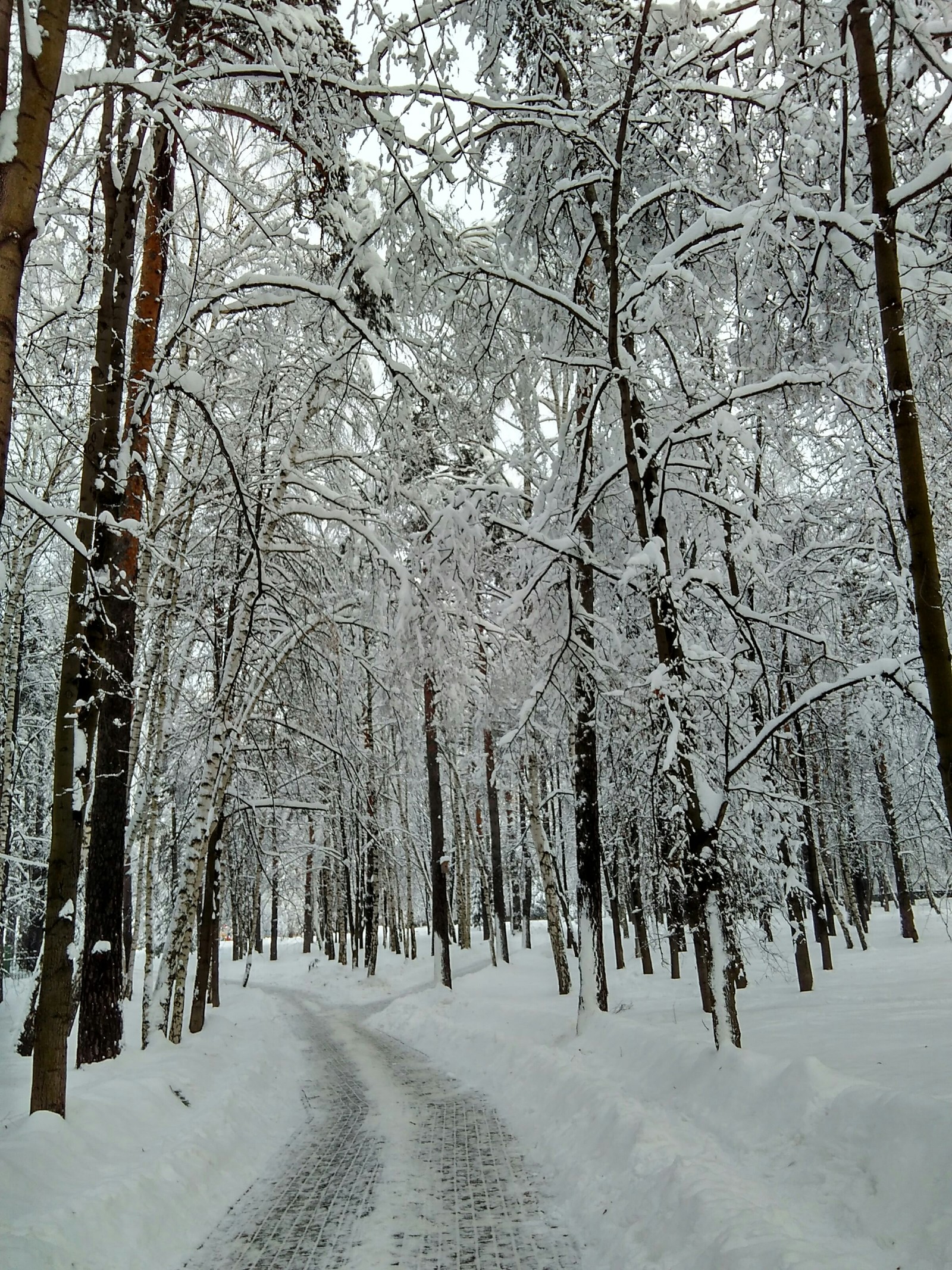 Fairytale winter in Mytishchi - My, Mytischi, Winter, The photo, Longpost