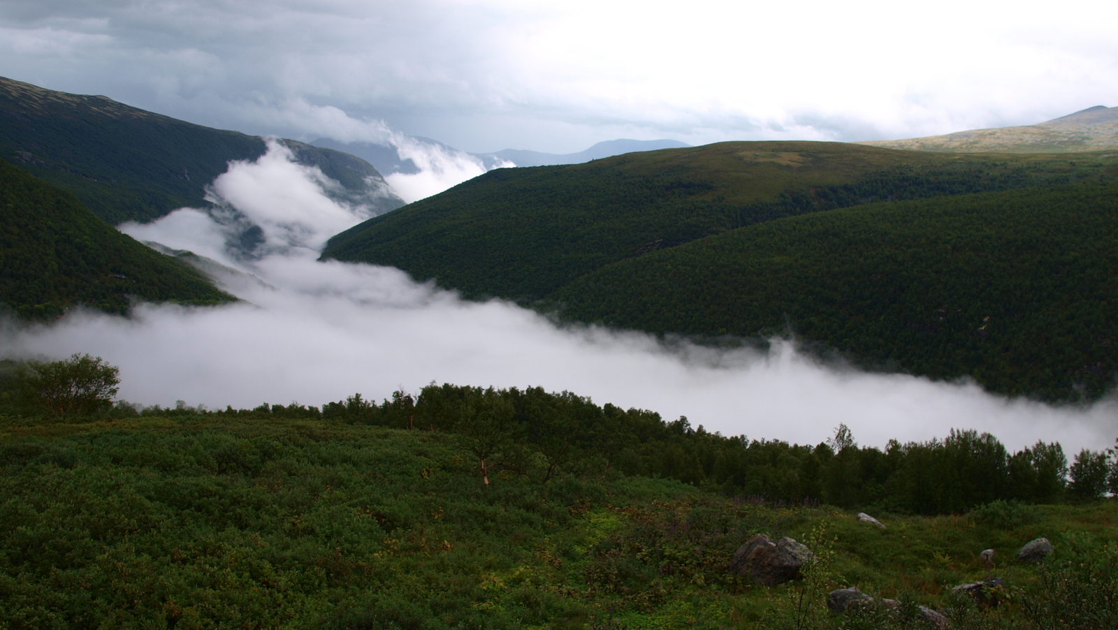 Traveling in Norway at the end of August 2016, photos, observations and biography of travelers. - My, Norway, Road trip, Tourism, Nature, Landscape, Longpost