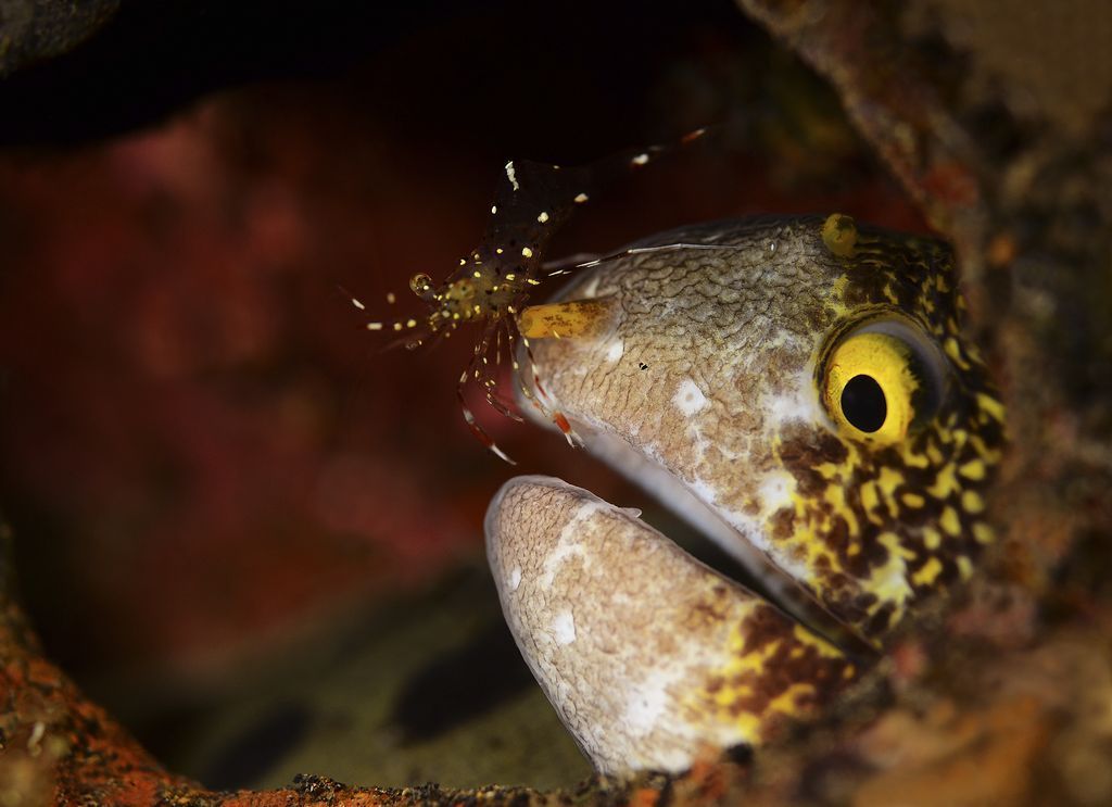 Simply gorgeous photos - The photo, The national geographic, Not mine, Longpost