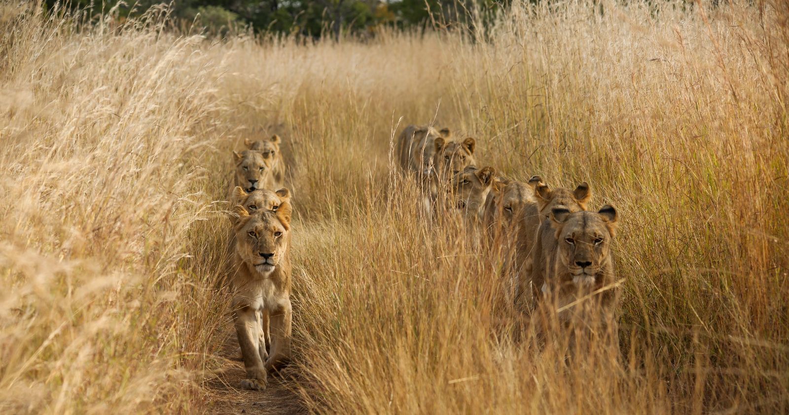 Просто роскошные фото - Фотография, The National Geographic, Не мое, Длиннопост