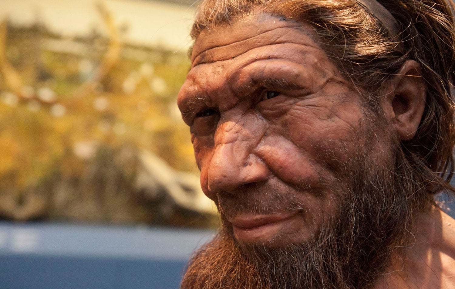 Reconstructions of Neanderthals. - Neanderthal, Paleontology, The science, Anthropogenesis, Longpost, People