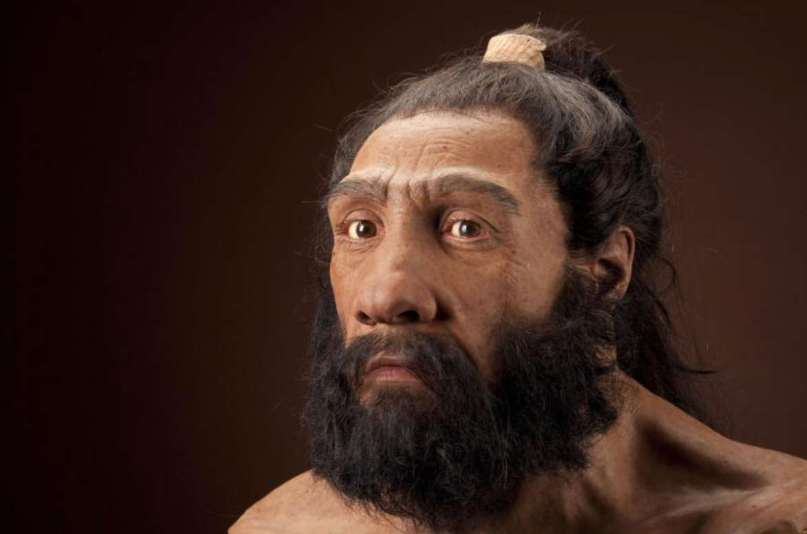 Reconstructions of Neanderthals. - Neanderthal, Paleontology, The science, Anthropogenesis, Longpost, People