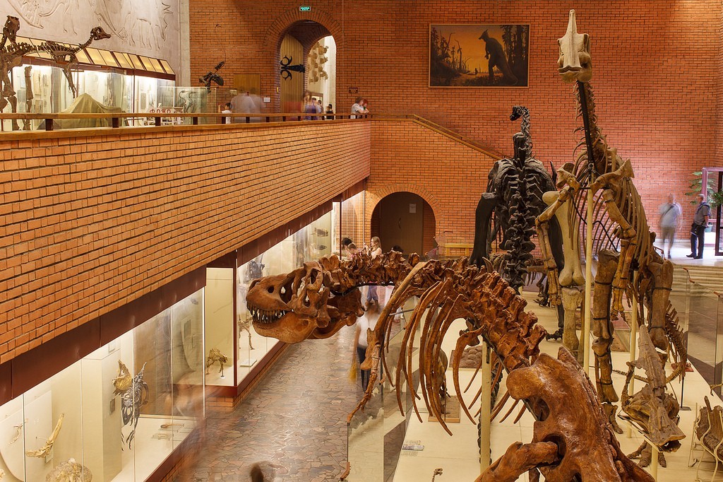 Amazing dinosaur museum - Museums in Moscow, Paleontology, Longpost