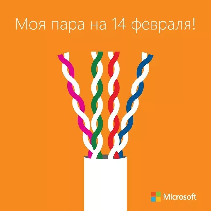 Couple on February 14 - Twisted pair, IT humor, Microsoft, The 14th of February