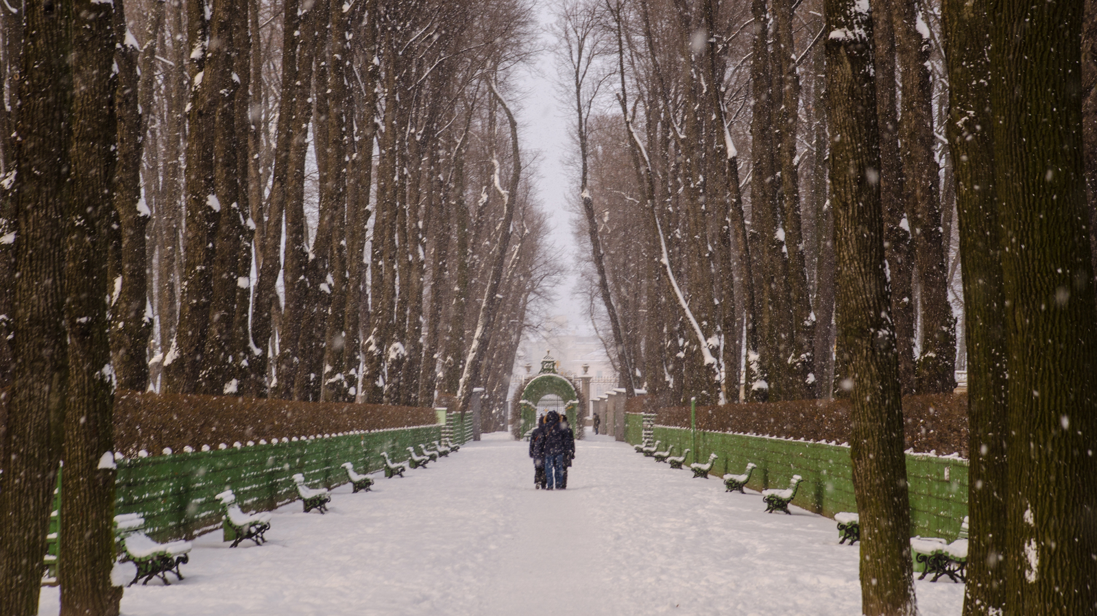 Saint Petersburg - My, Saint Petersburg, Nikon, Snowfall, Winter, Bridge, Neva, The park, Summer garden, Longpost