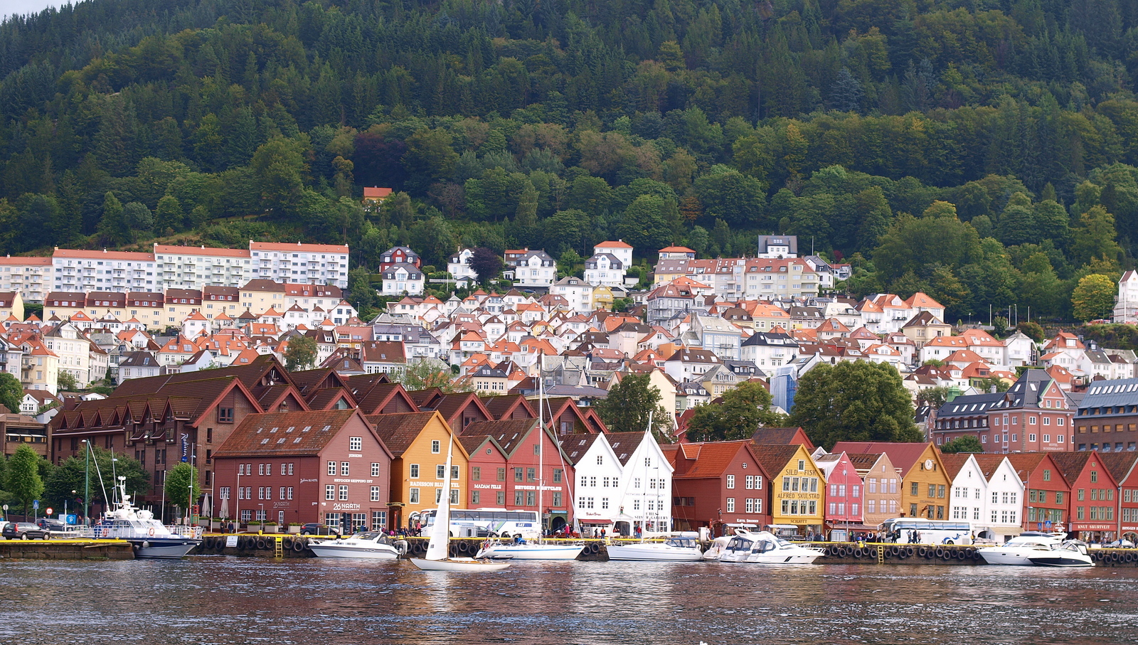 Traveling in Norway at the end of August 2016, photos, observations and biography of travelers. - My, Norway, Road trip, Tourism, Nature, Landscape, Longpost