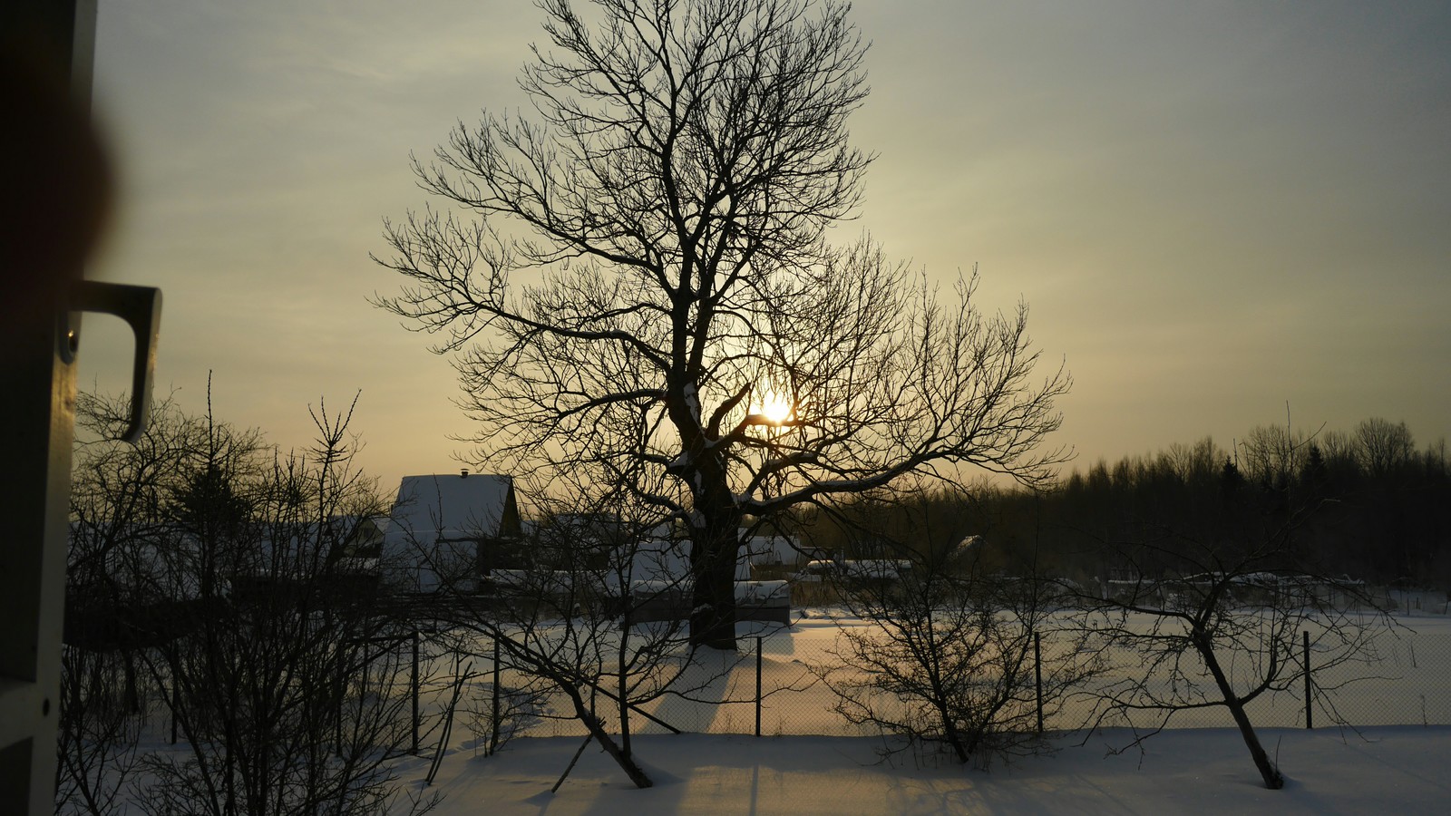 Photo on mobile from the window. - My, Mobile, Sunrise, Morning, Haze, Panasonic Lumix, Ash, Sunrise