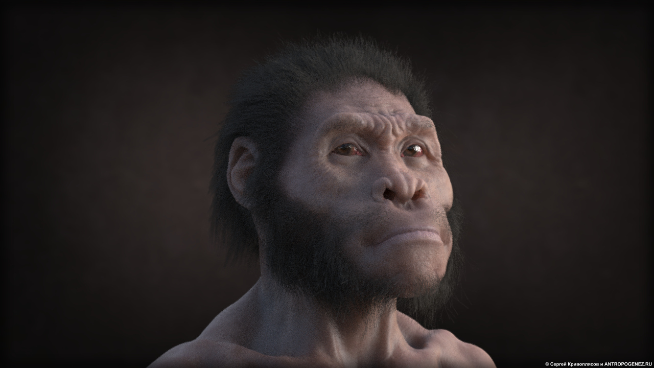 Penguinopithecus approves! 6th official science coven in the cultural capital - Anthropogenesis, Scientists against myths, Summarizing, Forum, Longpost, Outcomes