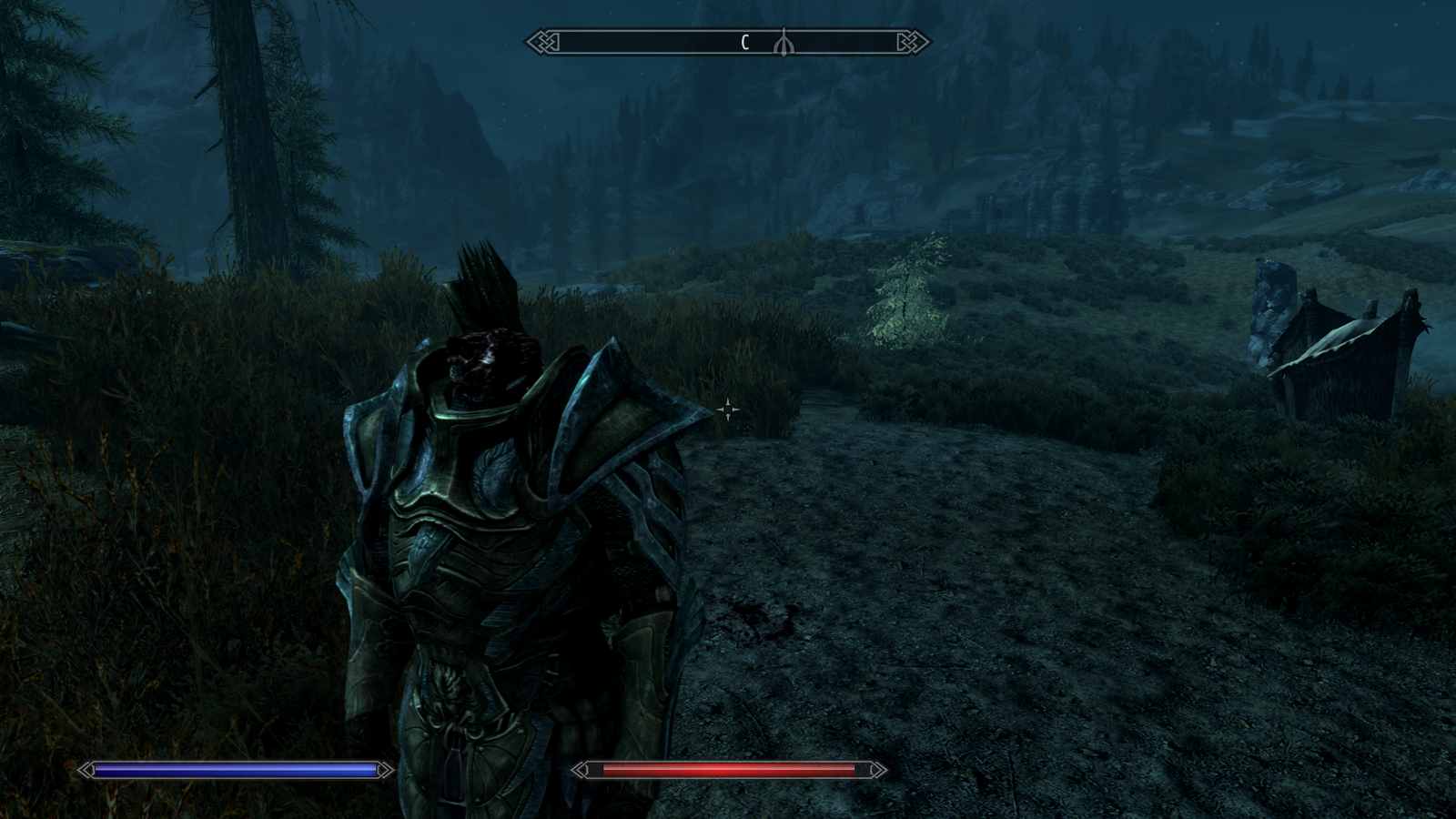 Skyrim is still capable of surprising - My, Skyrim, Bug, Longpost, Games