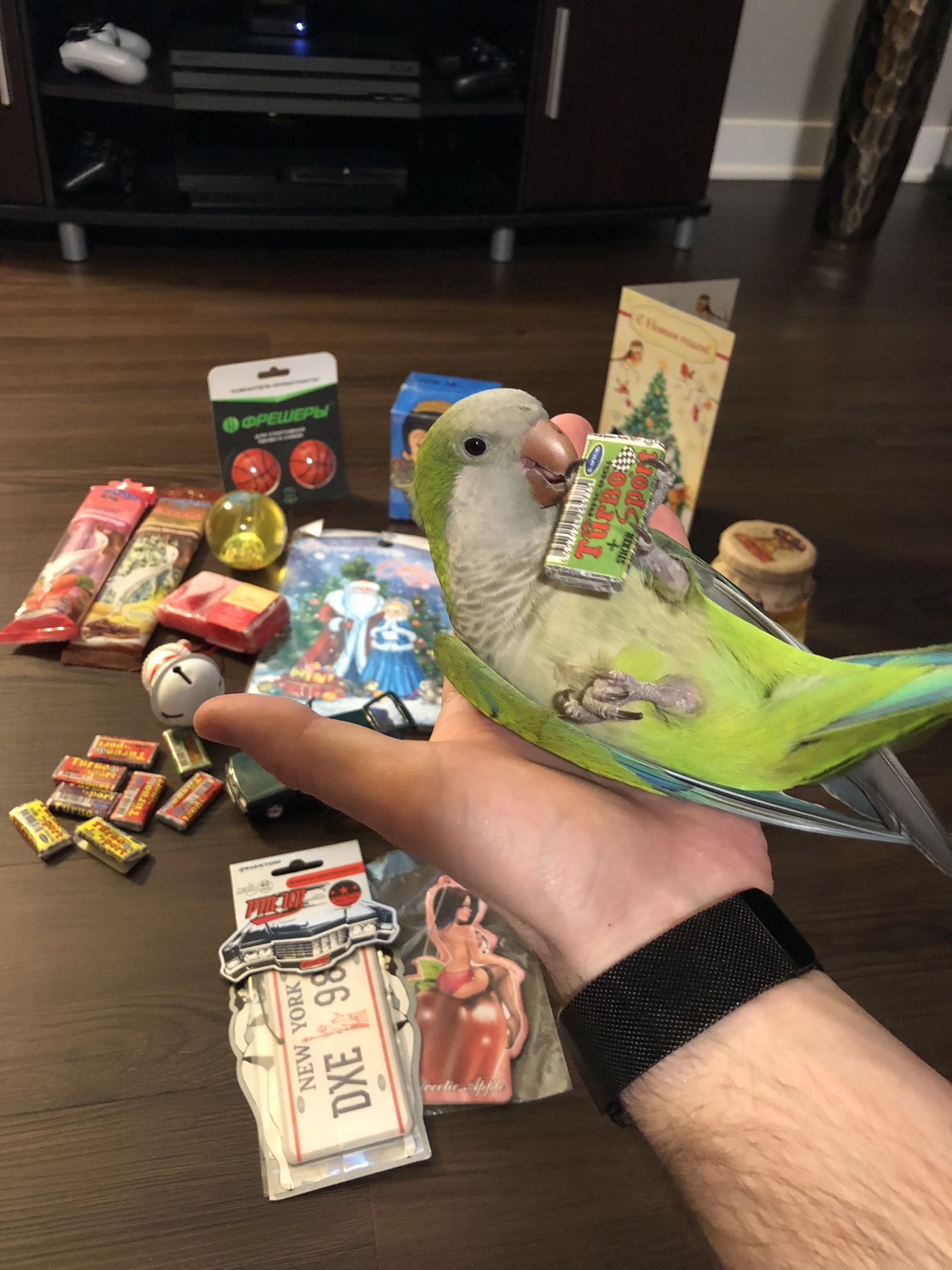 New Year's gift) Tver -> Chicago! - My, Gift exchange, New Year's gift exchange, 2018, Russia, USA, Secret Santa, Snow Maiden, A parrot, Longpost, 