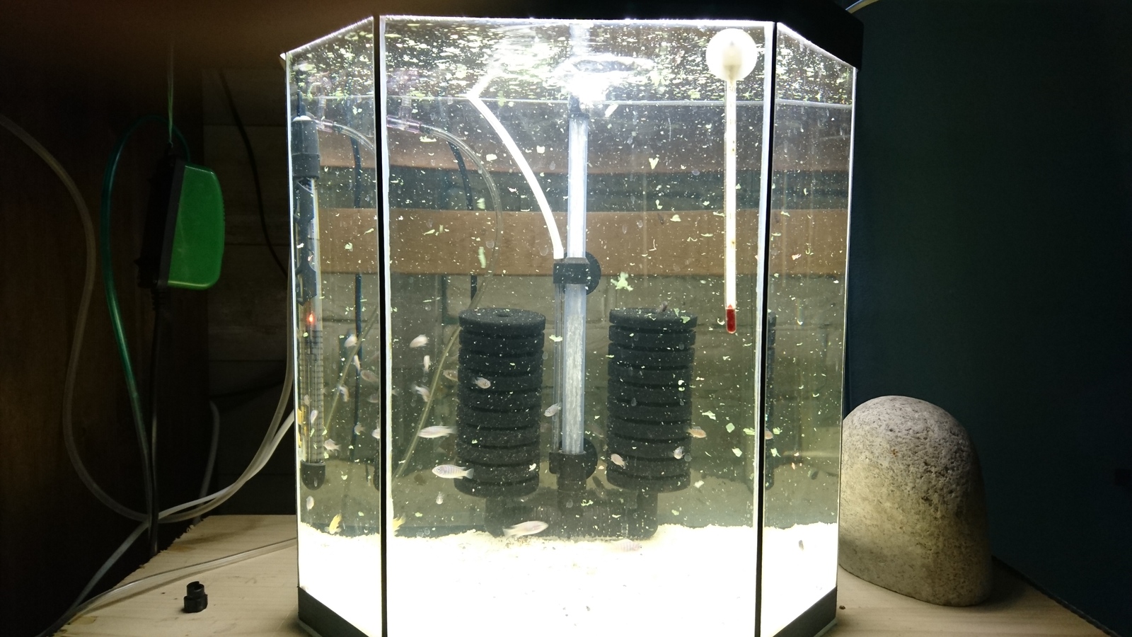 Из чего сделать перегородку в аквариуме для мальков