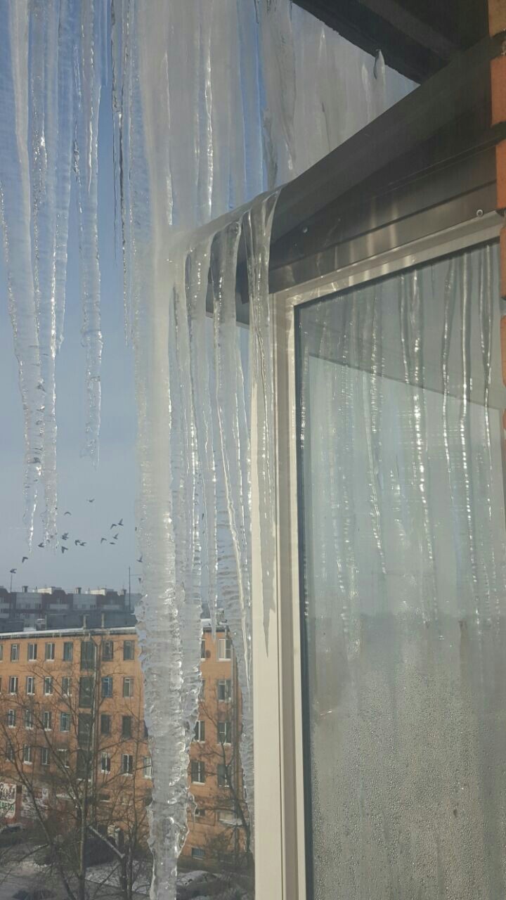 UK does not remove icicles. Peter. - My, Saint Petersburg, Icicles, Housing and communal services, Longpost