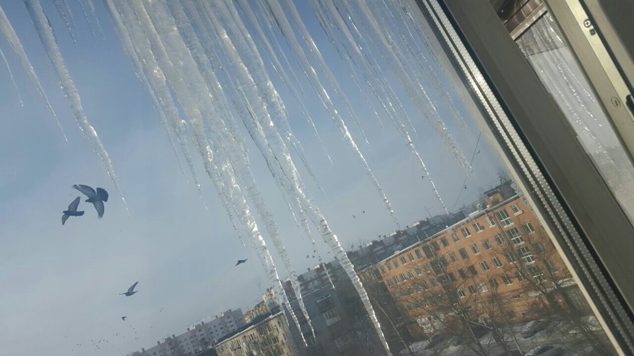 UK does not remove icicles. Peter. - My, Saint Petersburg, Icicles, Housing and communal services, Longpost