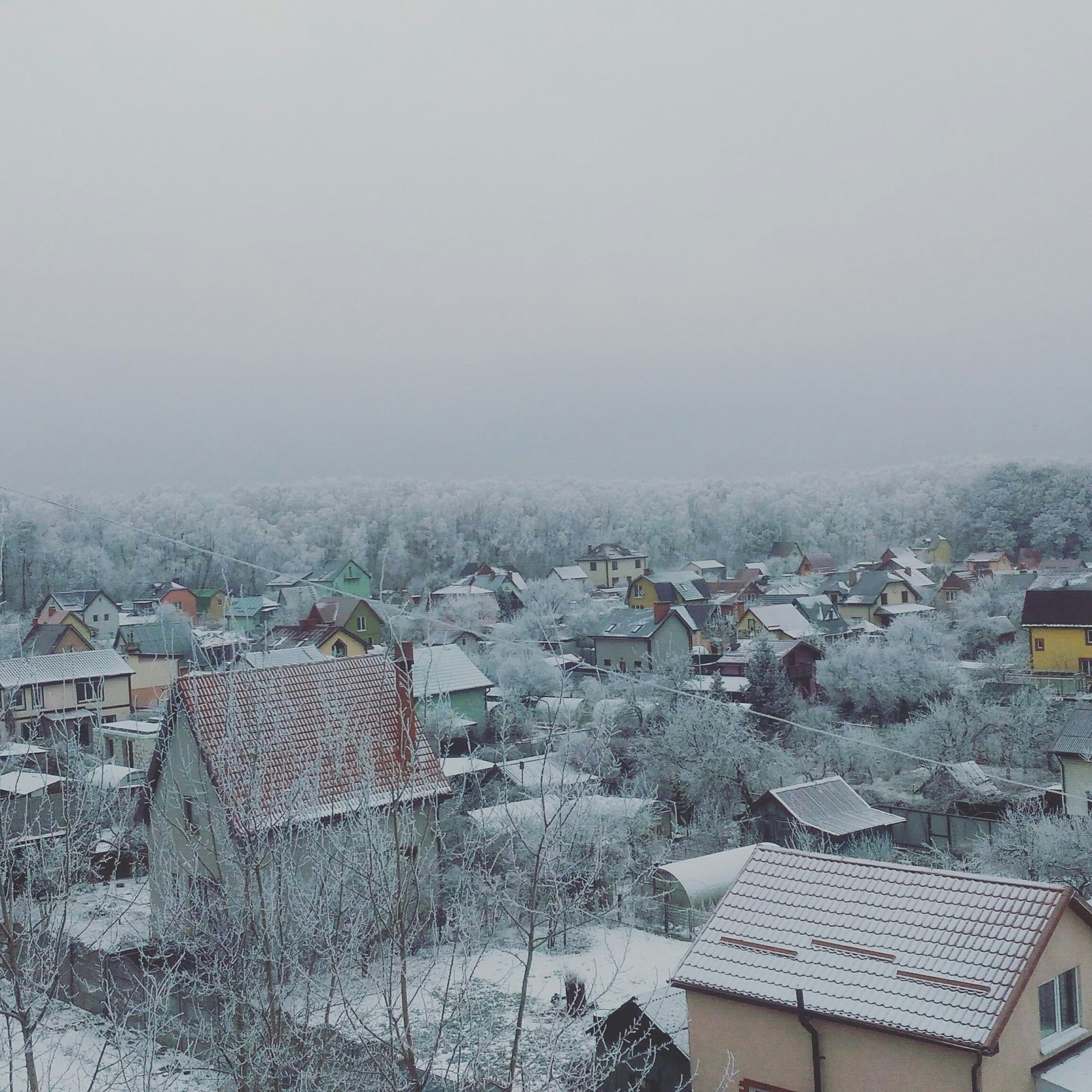 View from the window - My, Fog, Snow, Forest, beauty