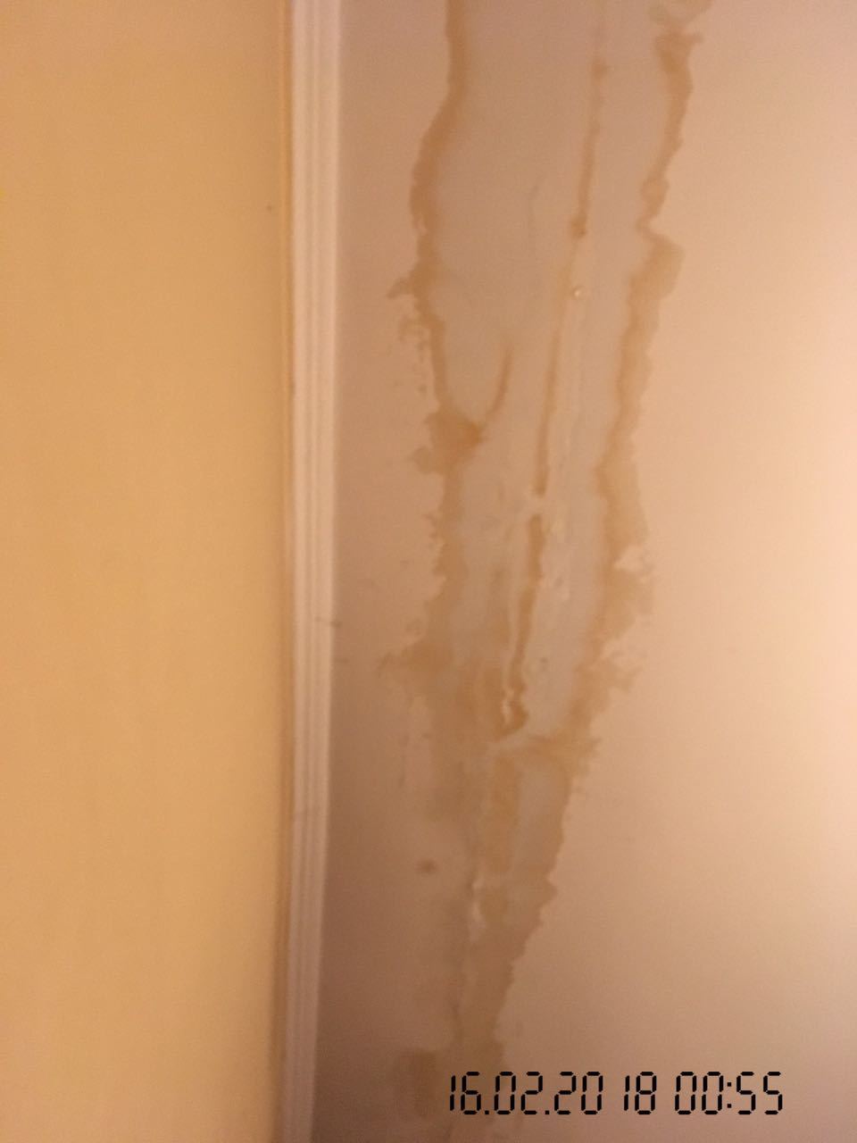 The roof is leaking! - My, Utility services, Roof, Leakage, Legal aid, Longpost, No rating, Help