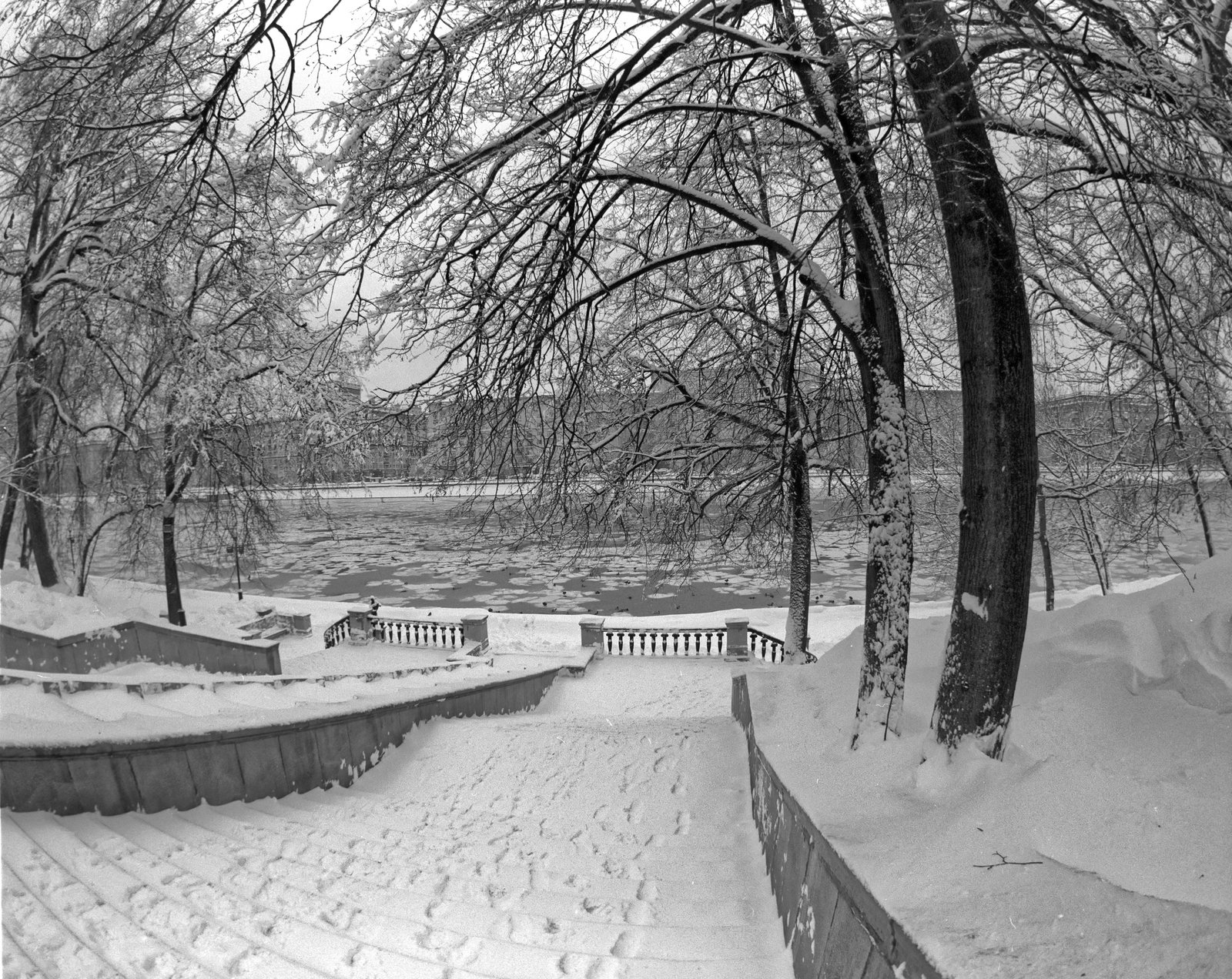 Along the embankment of Gorky Park - My, The photo, Pentax 67, Black and White Film, Medium format, Longpost