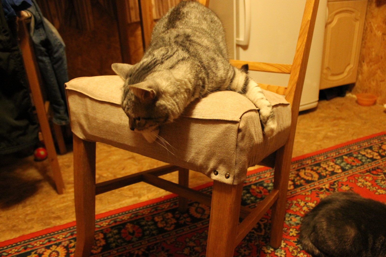 There are two chairs - My, Repair, Furniture, Carpenter, cat, Longpost