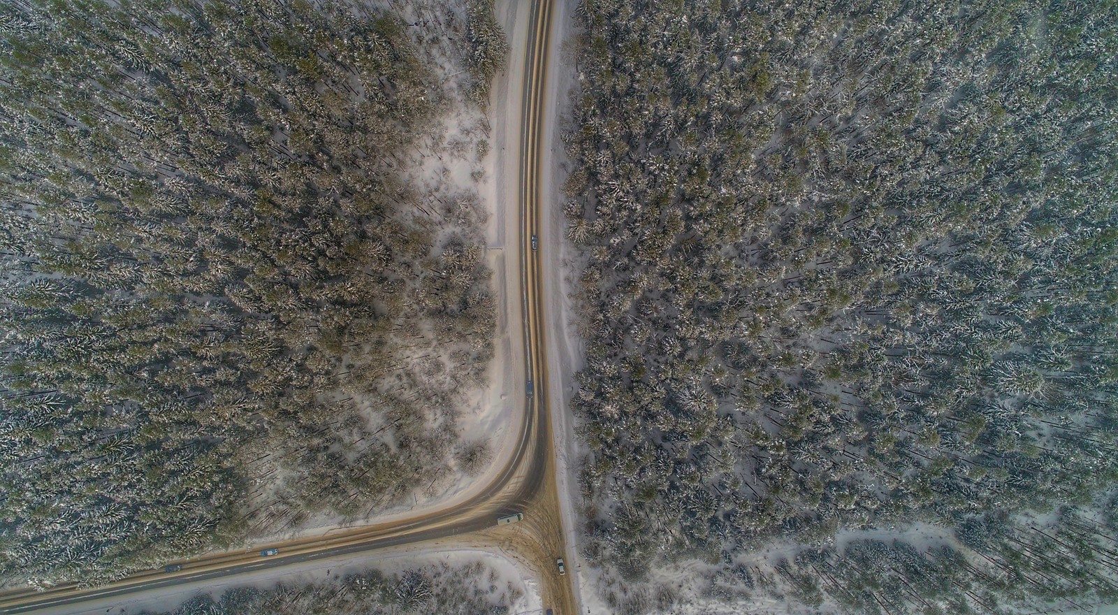 Road in the forest. - My, Flight, Outside the city, Height, Quadcopter