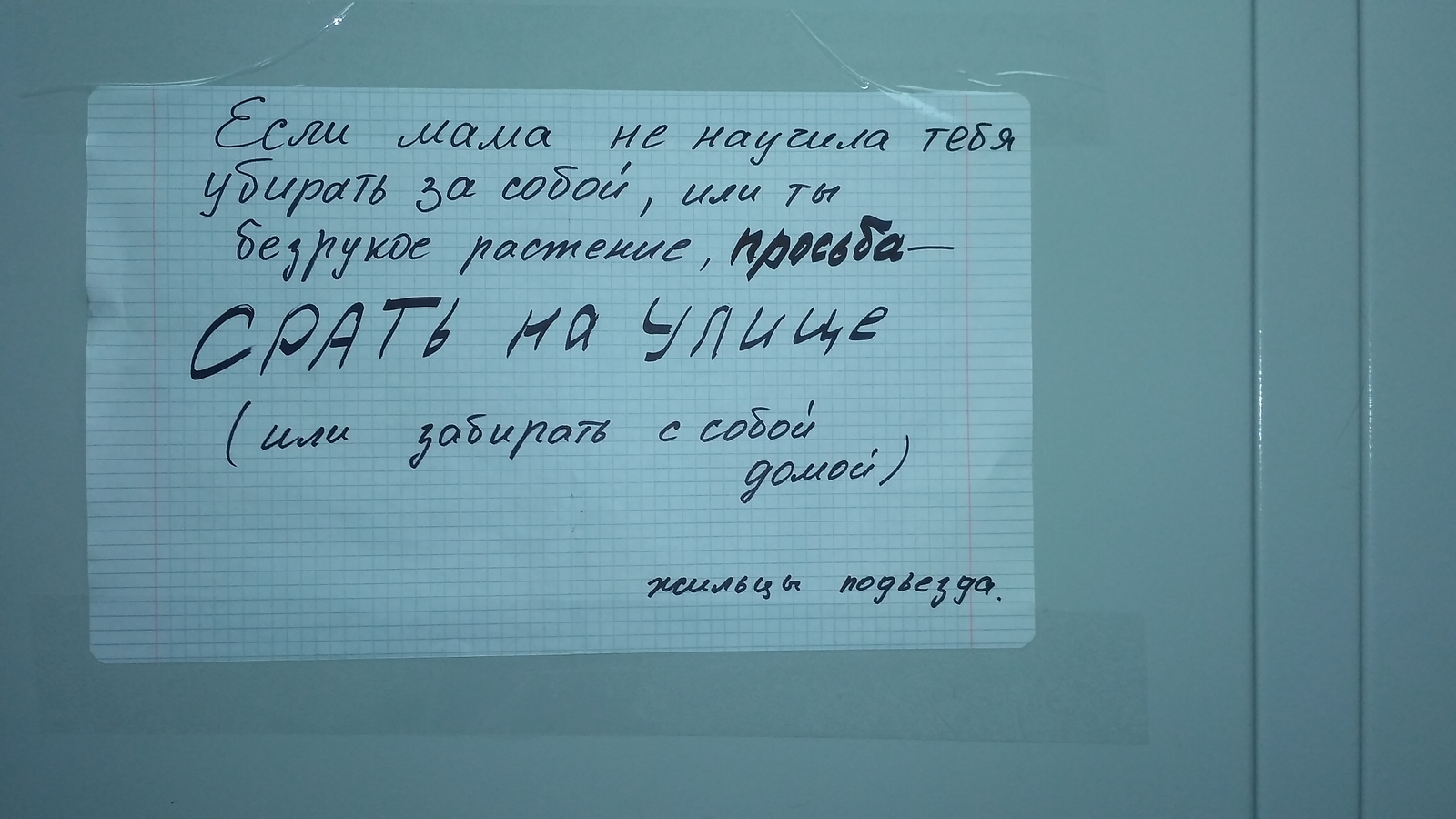 Вчера лежало собачье говно | Пикабу