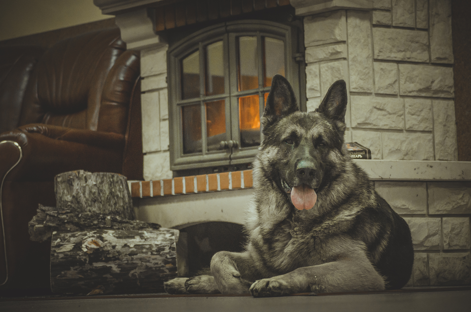 Disassembled the old, I want to share - My, Dog, German Shepherd, Fireplace, PHOTOSESSION, Hobby, Longpost