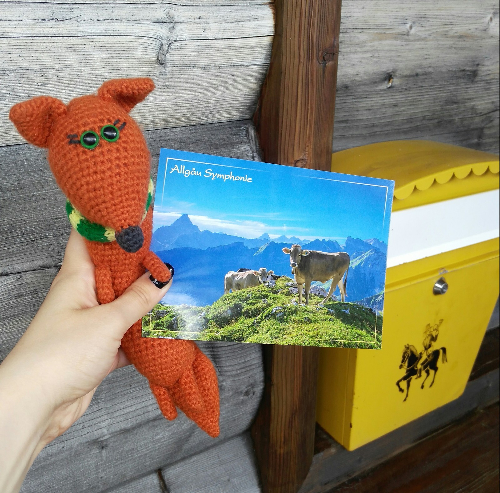 10 facts about me, a liskesosiska, a knitted fox-traveler :) - My, Story, Fox, Facts, Travels, Longpost